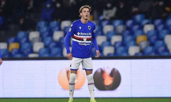 在这项运动 在这项运动