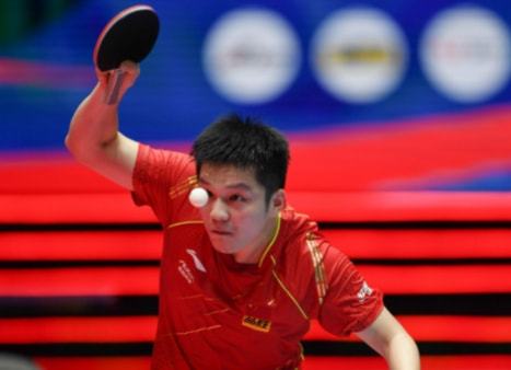 稳步前行的 稳步前行的