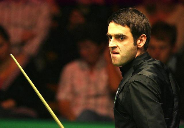 素和矿物质 素和矿物质